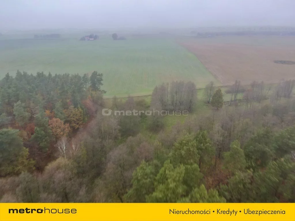 Działka 42 864,00 m², oferta nr , SGBIZO938, Wonna
