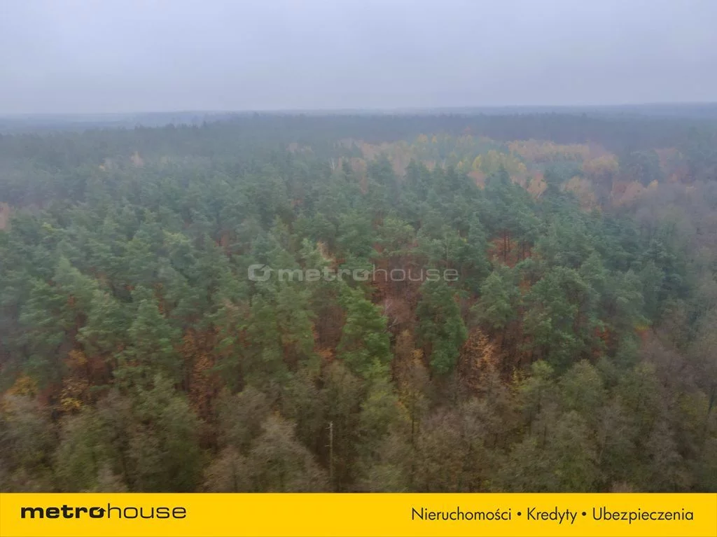 Działka 42 864,00 m², oferta nr , SGBIZO938, Wonna