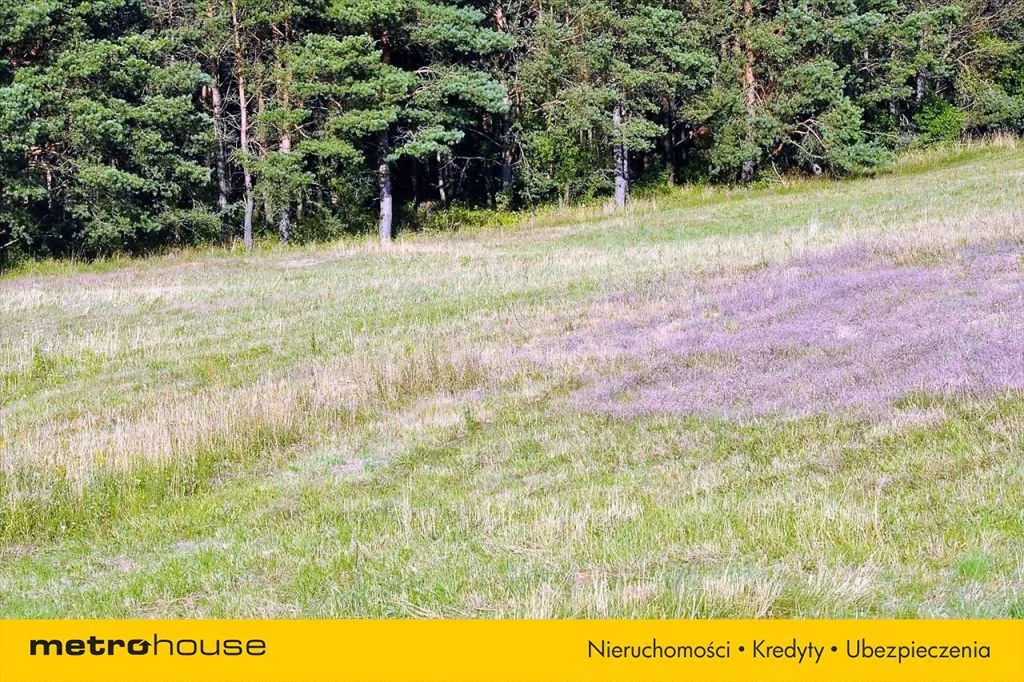 Działka 3 526,00 m², oferta nr , PUJY817, Woryty