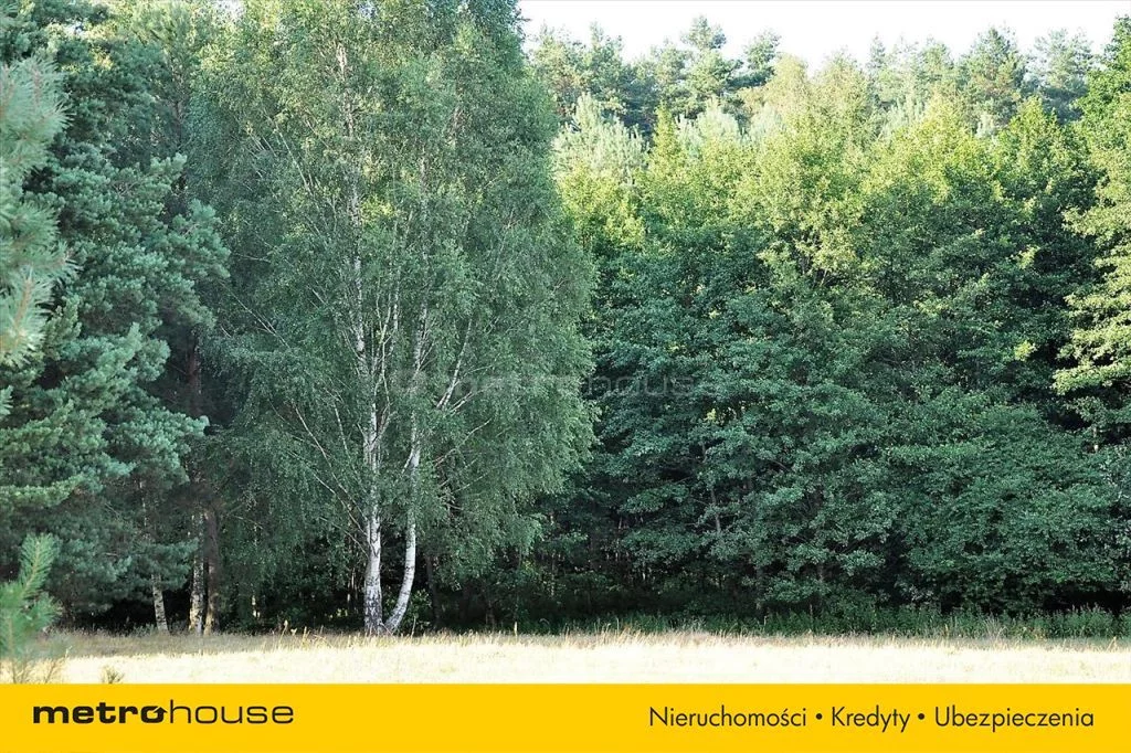 Działka 3 526,00 m², oferta nr , PUJY817, Woryty