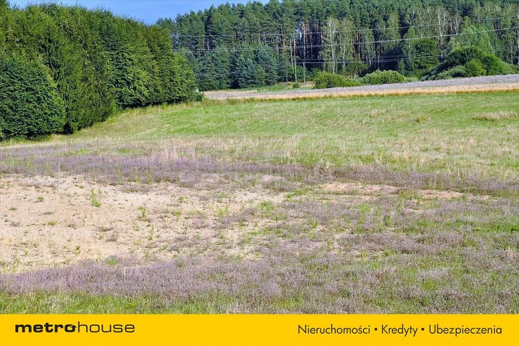 Działka 3 226,00 m², oferta nr , SOMI412, Woryty