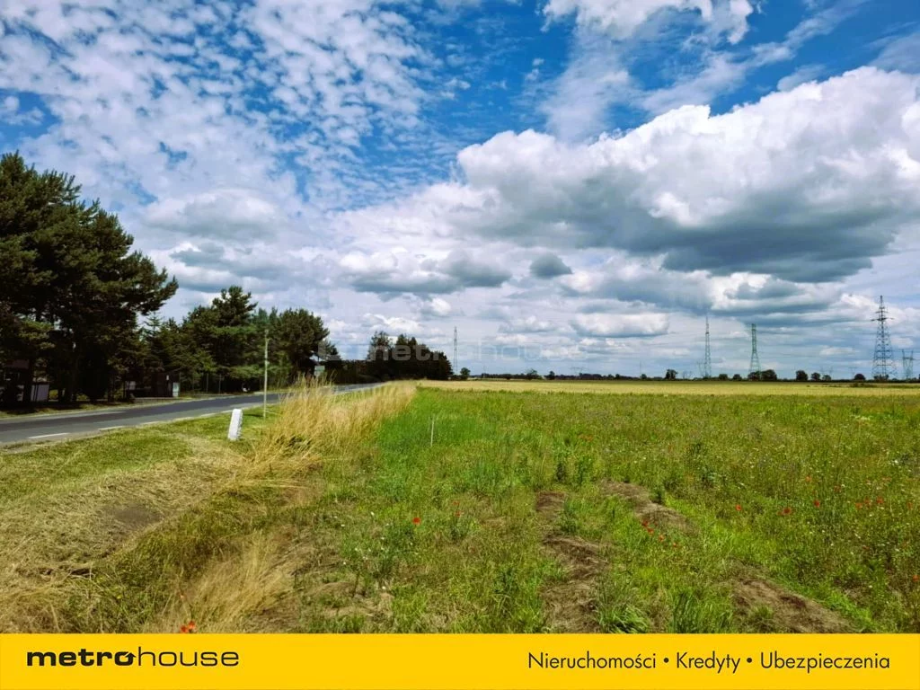 SGNOKI238 - zdjęcie nr 2