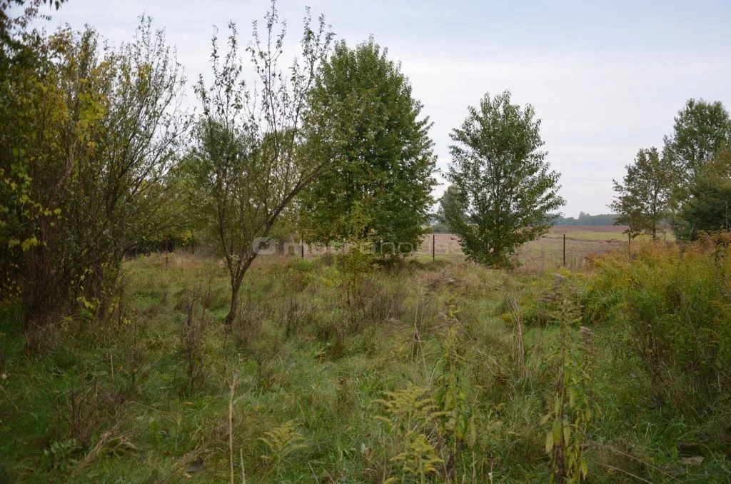 Działka 1 500,00 m², oferta nr , SGRAPE620, Wykno