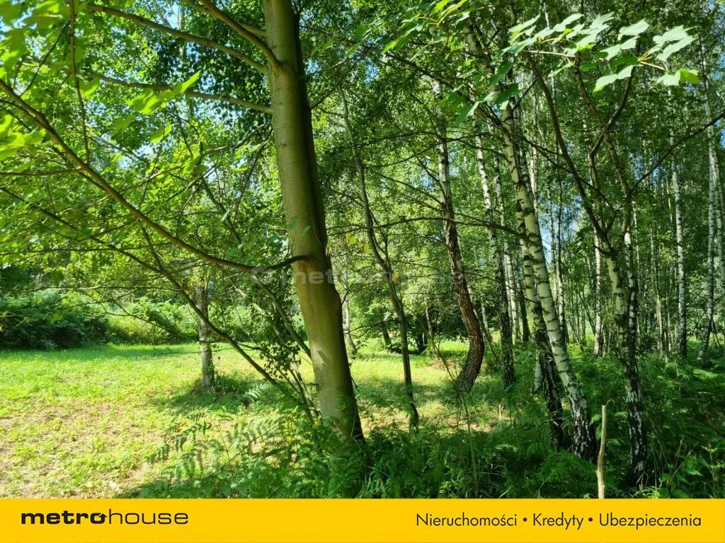 Działka 2 000,00 m², oferta nr , SGRAVA424, Buczkowice, Wypoczynkowa