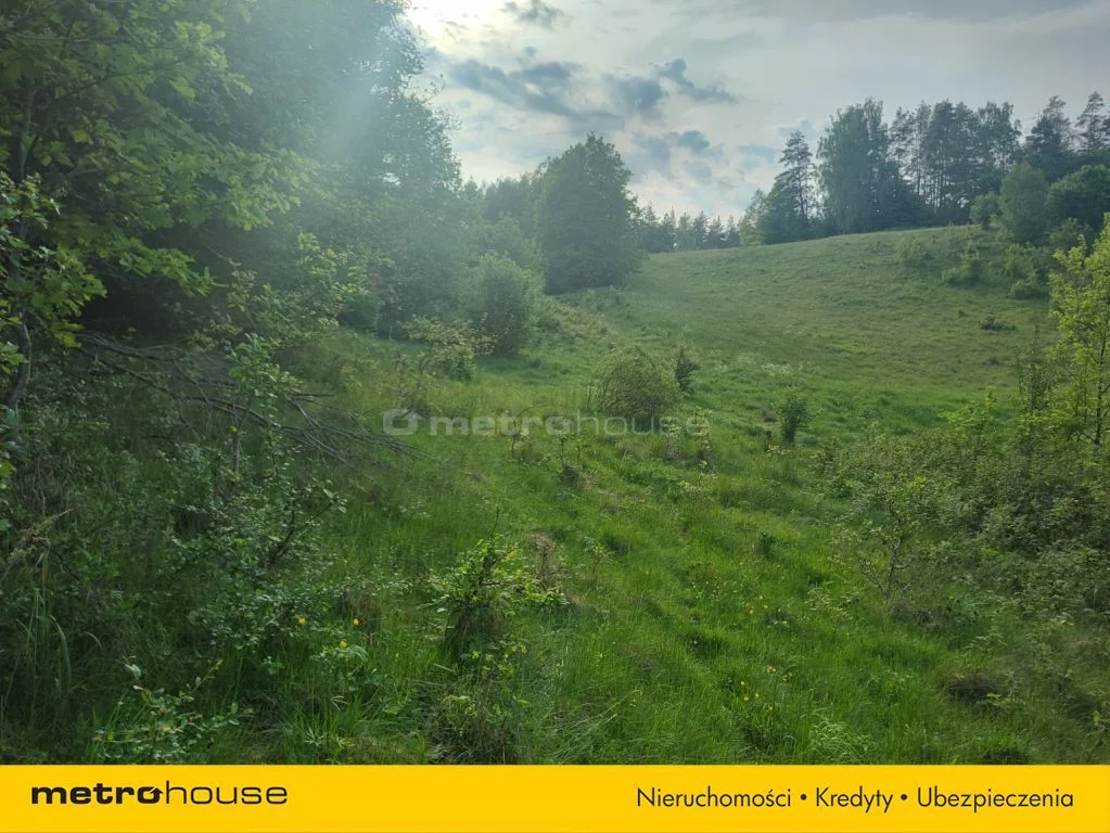 SGZEKY142 - zdjęcie nr 3