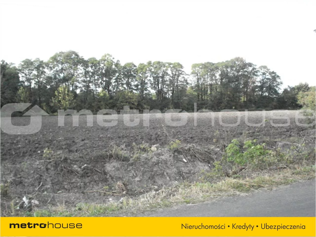 Działka 29 900,00 m², oferta nr , HUSI644, Żaby