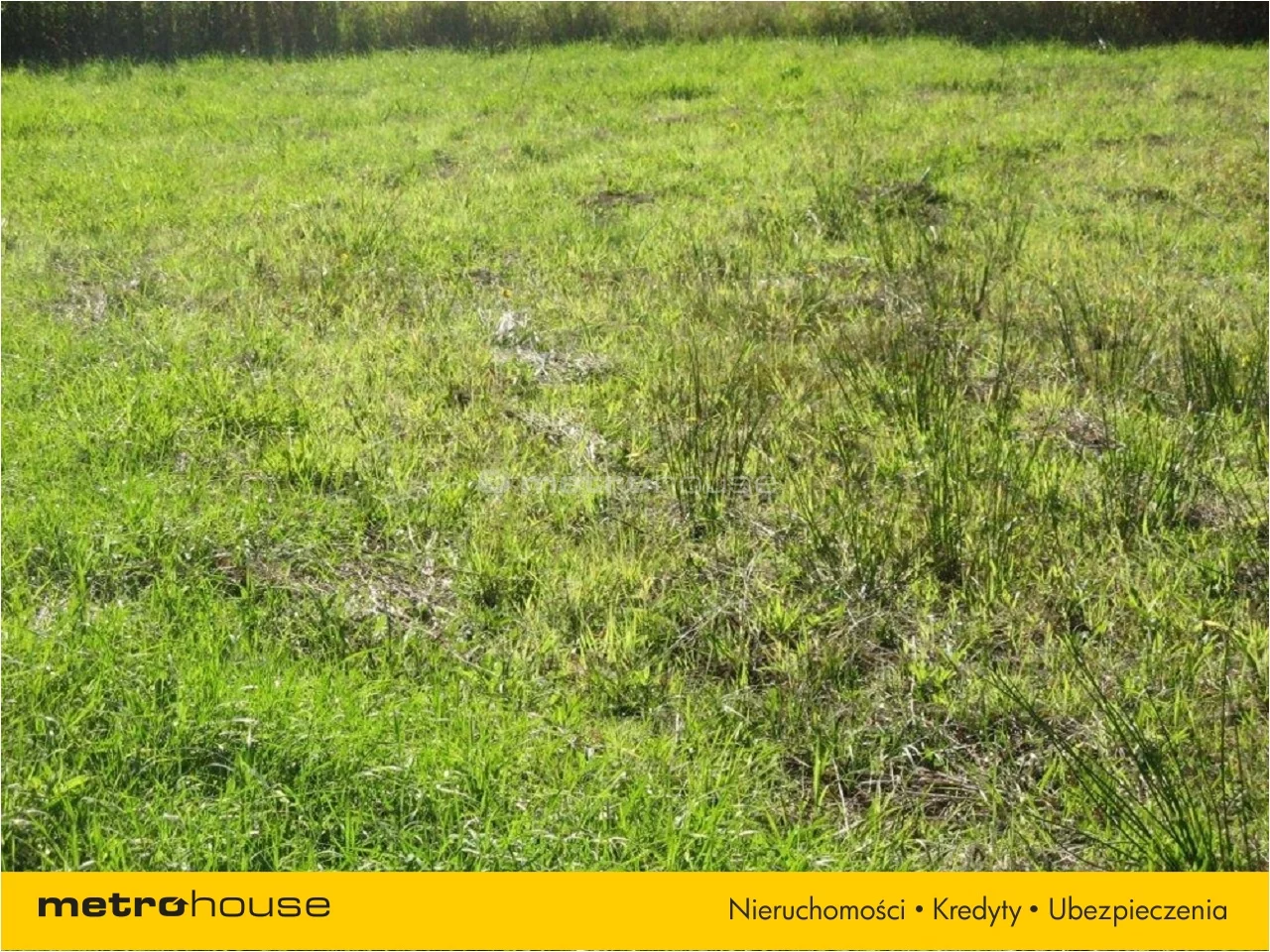 Działka 3 009,00 m², oferta nr , JADO363, Żaby