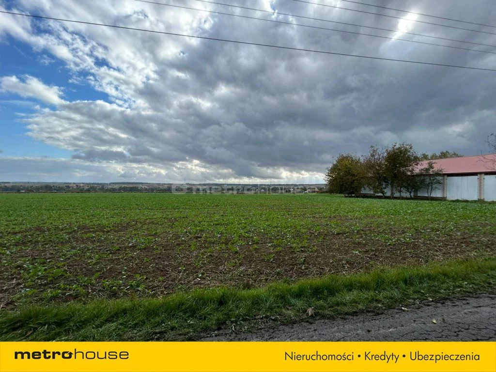 Działka 3 155,00 m², oferta nr , SGZIJO749, Zadworze
