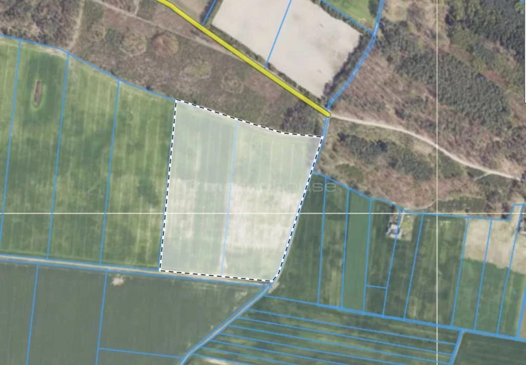 Działka 75 015,00 m², oferta nr , WYZI616, Zajączkowo