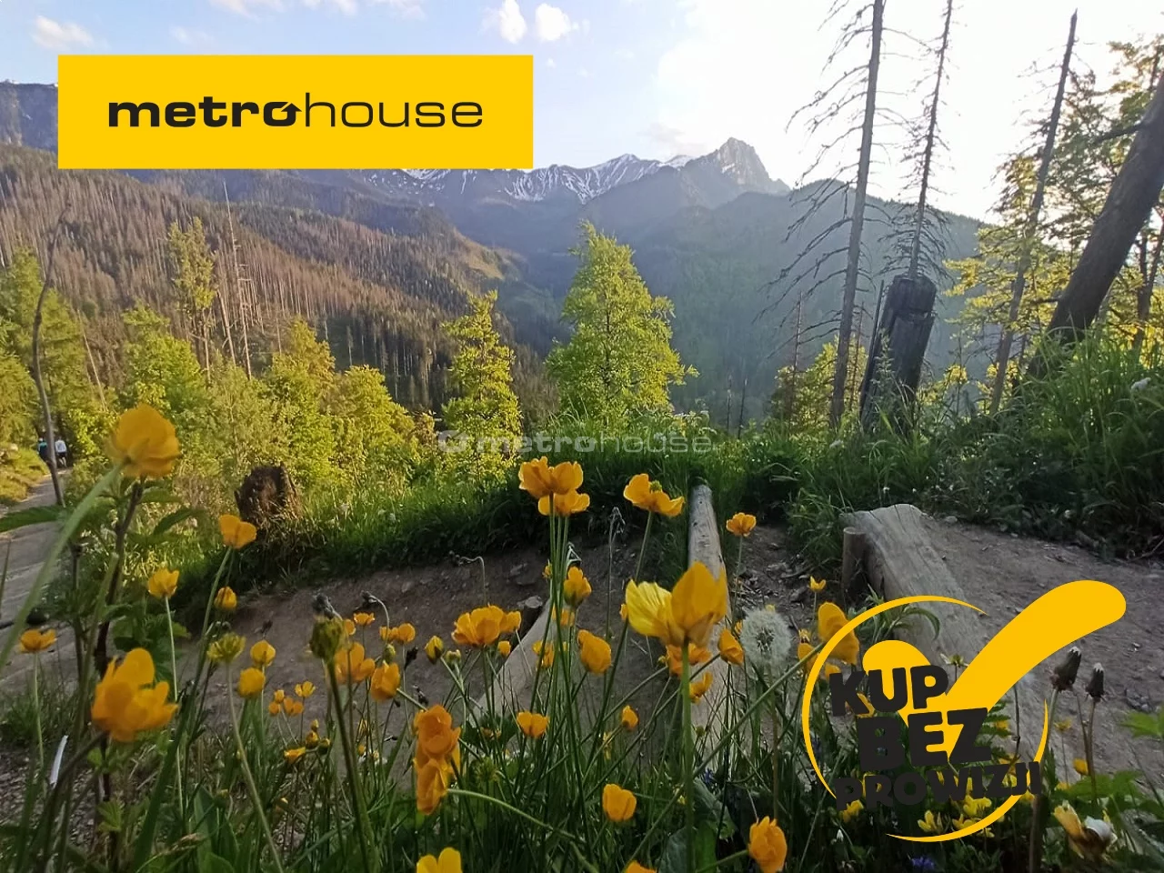 Działka 2 475,00 m², oferta nr , SUBI064, Zakopane