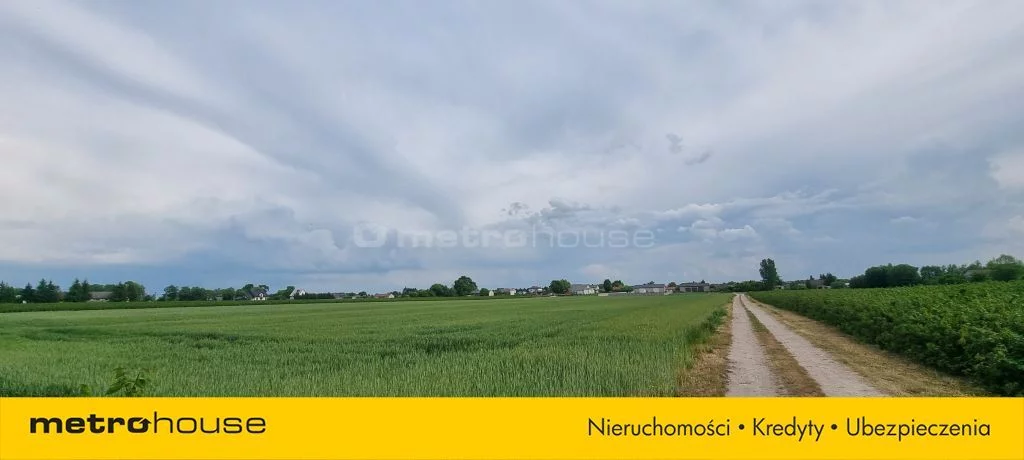 Działka 18 016,00 m², oferta nr , SGNETI162, Zakrze