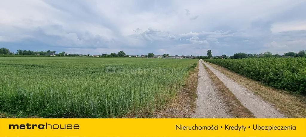 Działka 18 016,00 m², oferta nr , SGNETI162, Zakrze