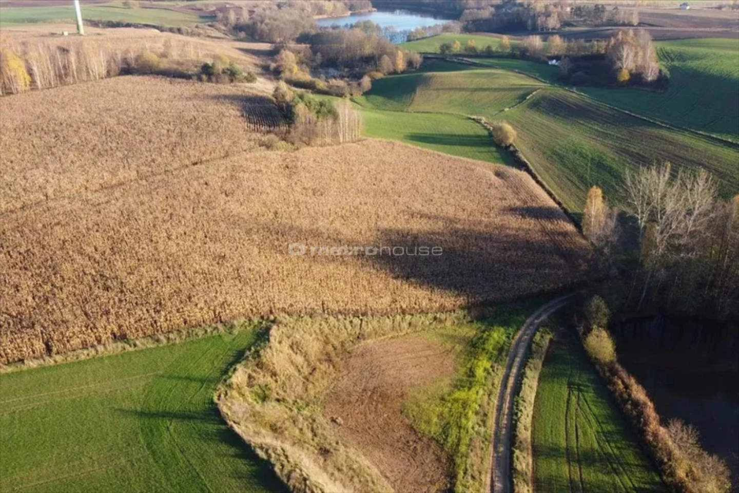 Działka 1 500,00 m², Żałe, Sprzedaż