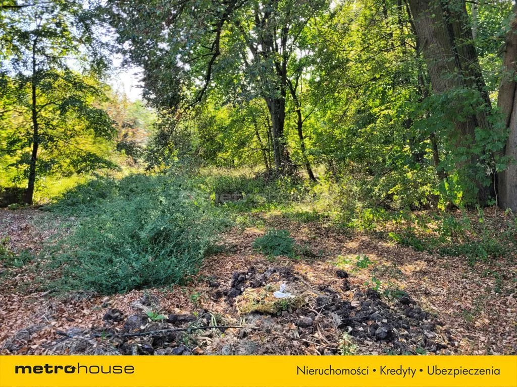 Działka 26 060,00 m², oferta nr , SGVOPI466, Zalutyń