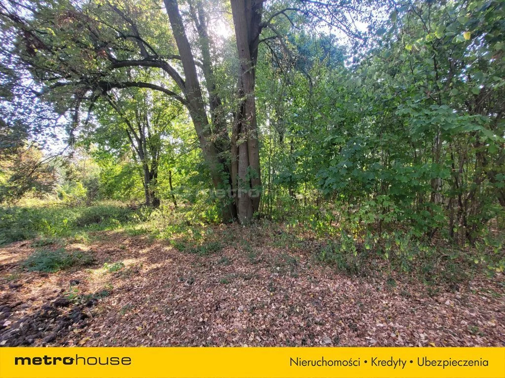 Działka 26 060,00 m², oferta nr , SGVOPI466, Zalutyń