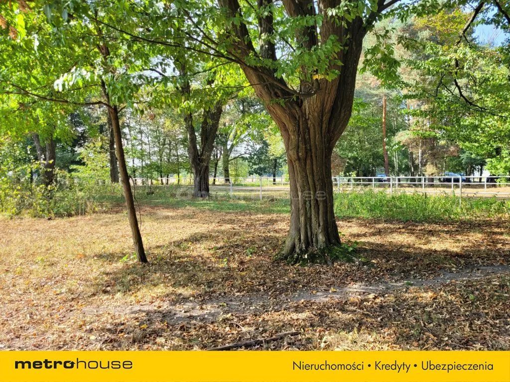 Działka 26 060,00 m², oferta nr , SGVOPI466, Zalutyń