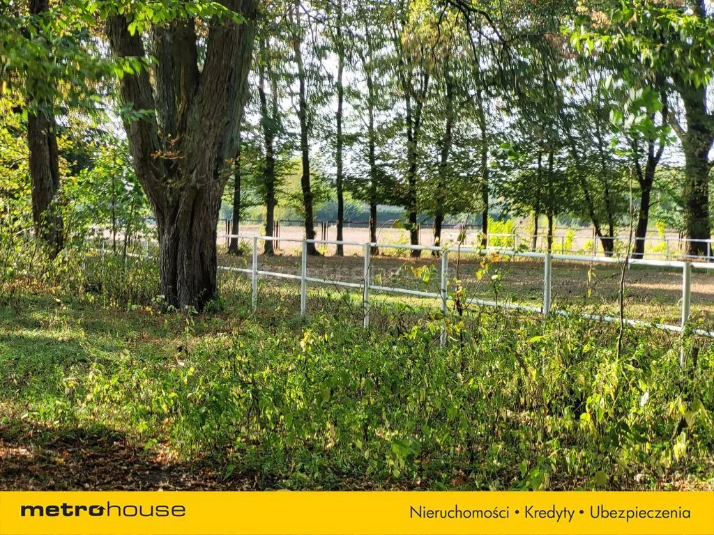 Działka 26 060,00 m², oferta nr , SGVOPI466, Zalutyń
