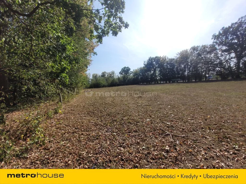Działka 26 060,00 m², oferta nr , SGVOPI466, Zalutyń