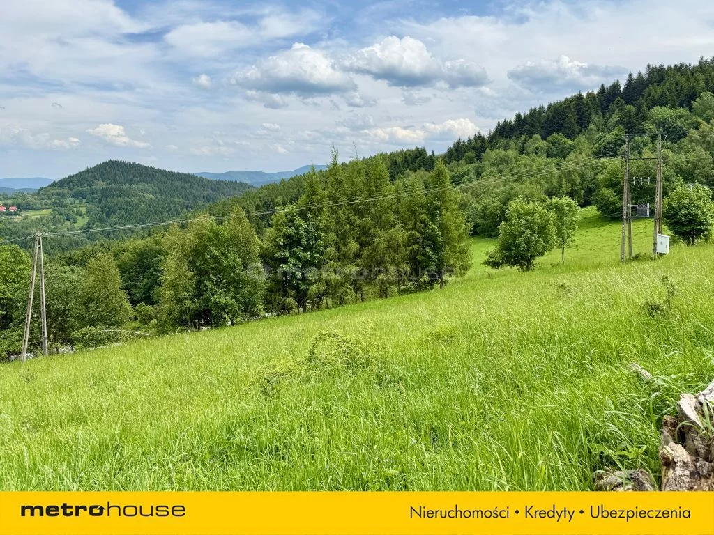 Działka 1 769,00 m², oferta nr , SGTAGA767, Zawoja