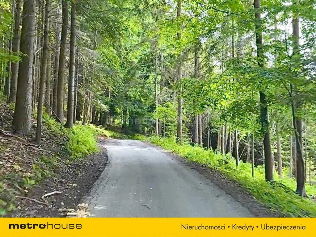 Działka 868,00 m², oferta nr , SGZEJY673, Zawoja