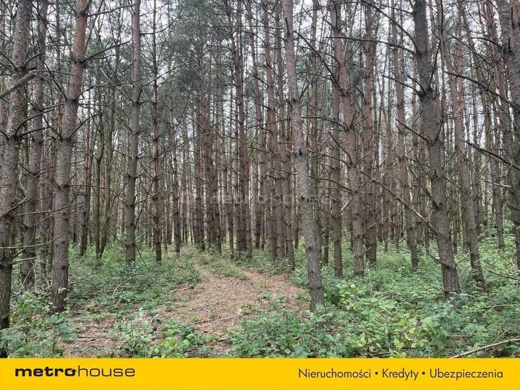 Działka 65 709,00 m², oferta nr , SGNAKY222, Zdziwój Stary