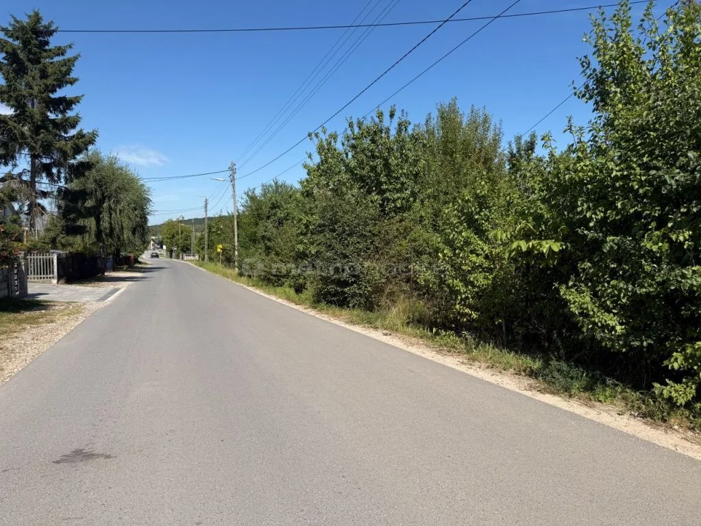 Działka 4 250,00 m², oferta nr , SGHUPA929, Chęciny, Zelejowa