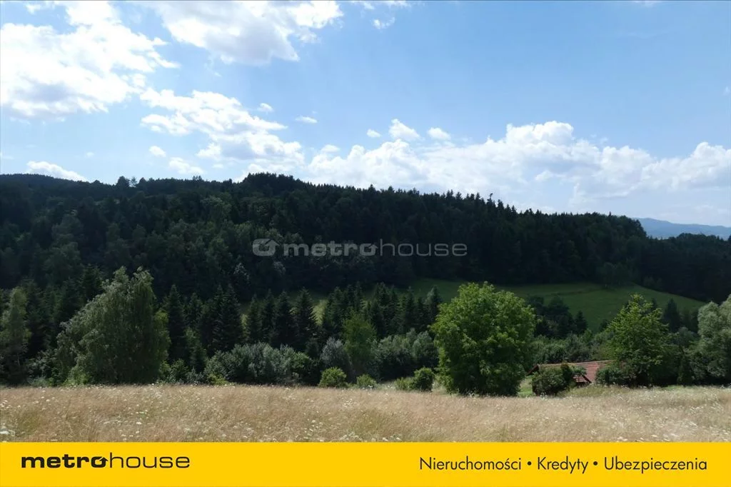 Działka 25 600,00 m², oferta nr , MYPY588, Żeleźnikowa Wielka