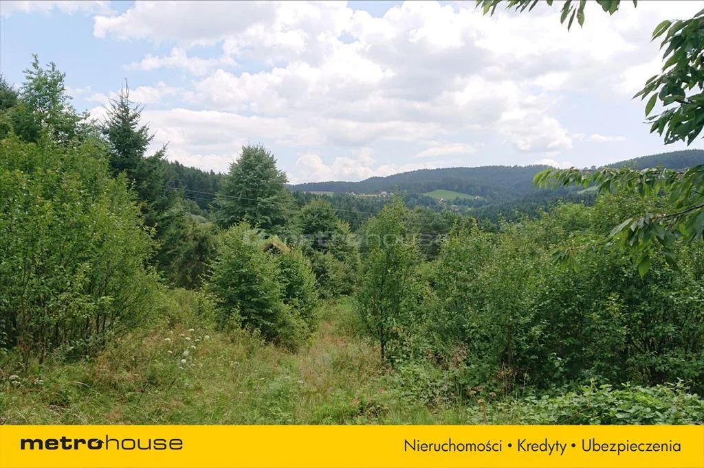 Działka 25 600,00 m², oferta nr , MYPY588, Żeleźnikowa Wielka