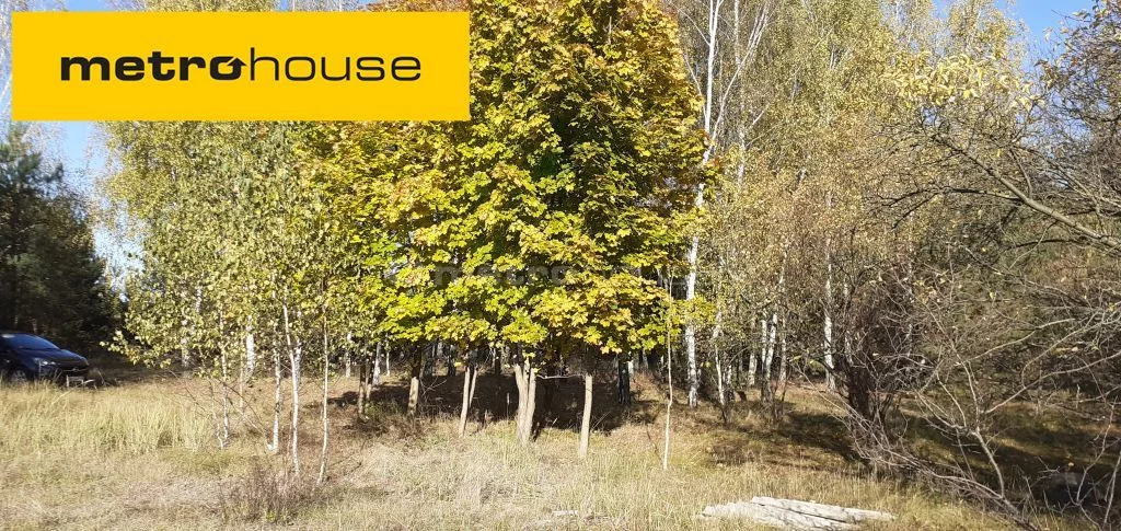 Działka 3 891,00 m², Żeliszew Duży, Sprzedaż