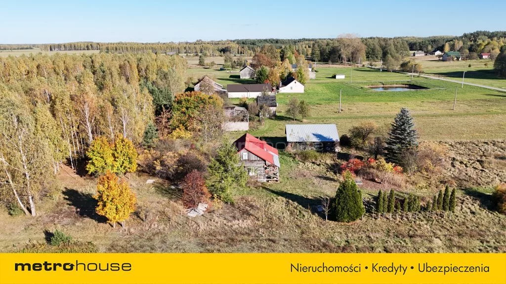 SGDOPY366 - zdjęcie nr 3
