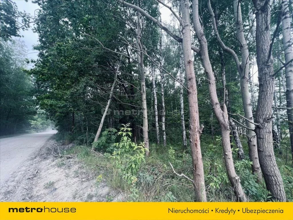 Działka 6 094,00 m², oferta nr , MAGY979, Zgierz