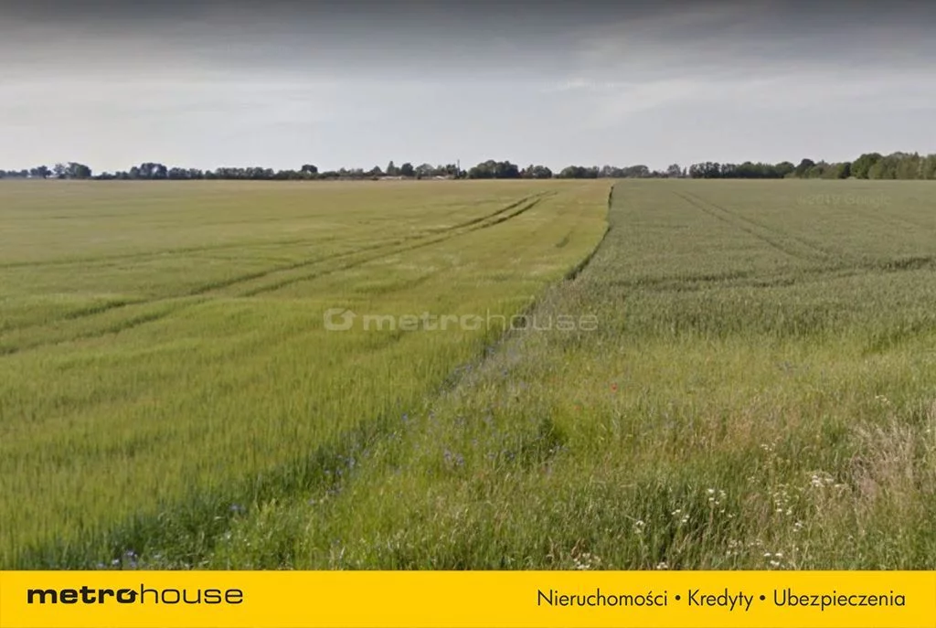 Działka 1 509,00 m², oferta nr , POMU652, Zielątkowo