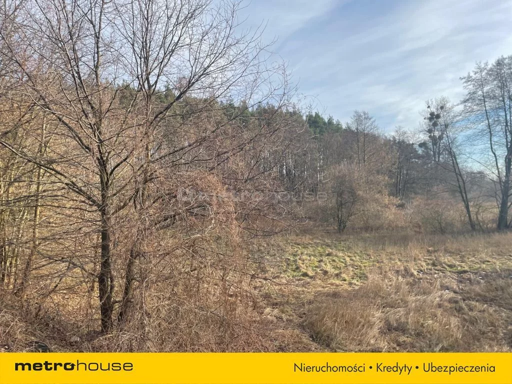 Działka 2 777,00 m², oferta nr , SGGOVE646, Ziewanice