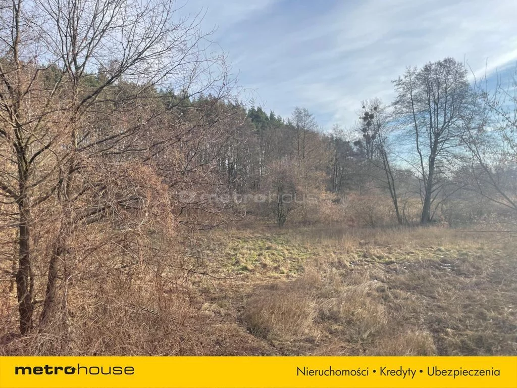 Działka 2 777,00 m², oferta nr , SGGOVE646, Ziewanice