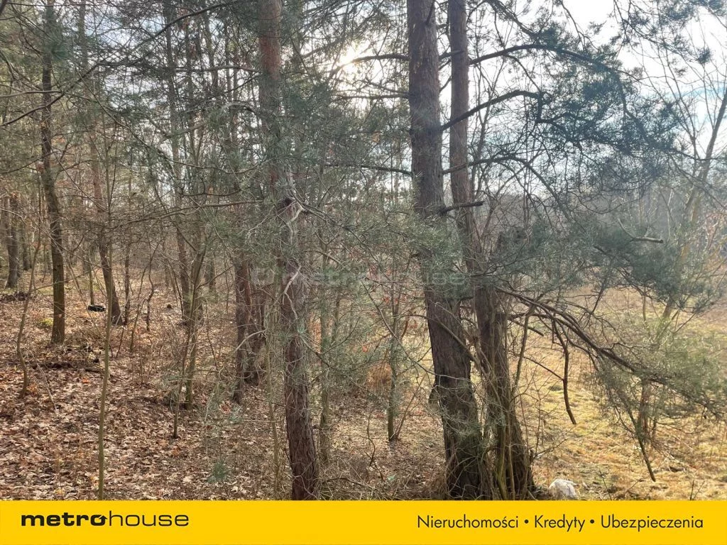 Działka 2 777,00 m², oferta nr , SGGOVE646, Ziewanice
