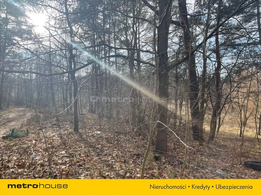 Działka 2 777,00 m², oferta nr , SGGOVE646, Ziewanice