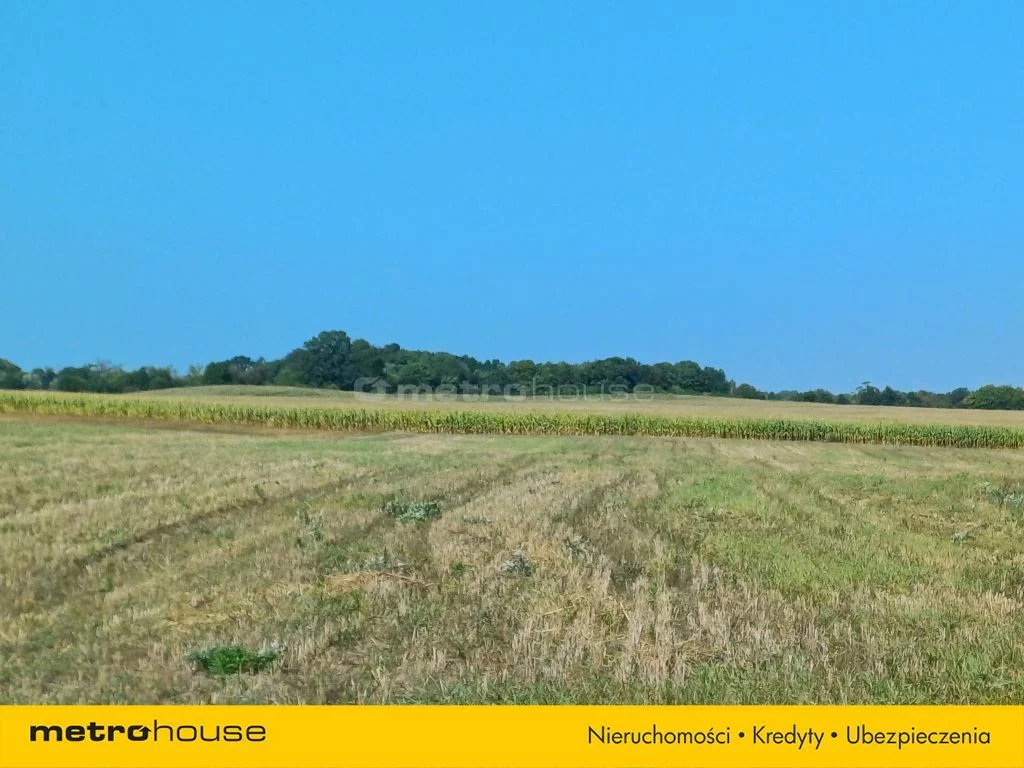 Działka 3 010,00 m², oferta nr , SGVOVY289, Konarzyny, Żychckie Osady
