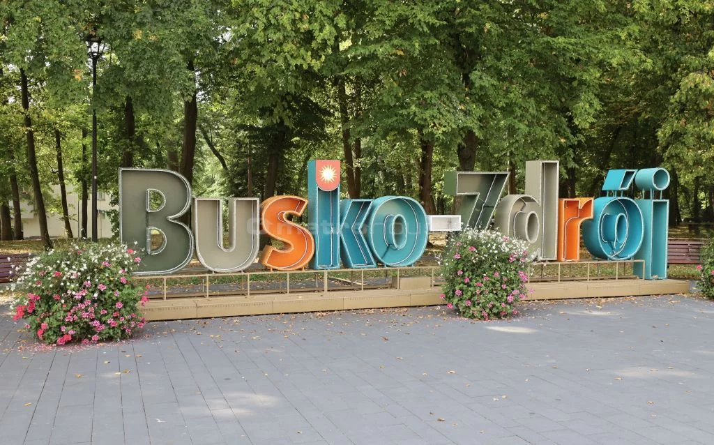 Obiekt 1 800,00 m², oferta nr , SOTAGI529, Busko-Zdrój, 1 Maja