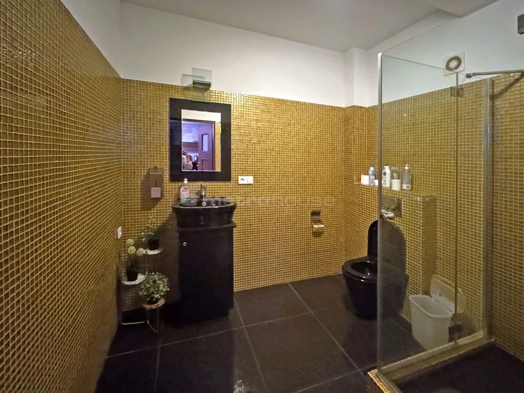 Lokal użytkowy 1 167,00 m², oferta nr , SLZARE826, Stara Wieś, Aleja Katowicka