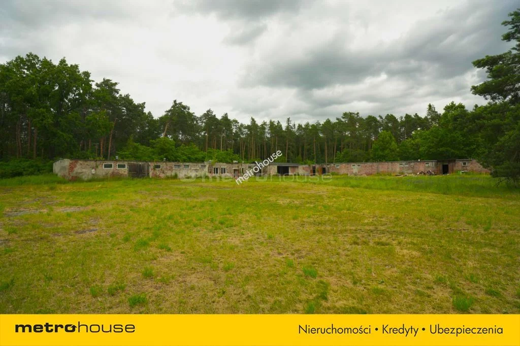 Obiekt 1 773,00 m², oferta nr , SOTOVI479, Antoniów