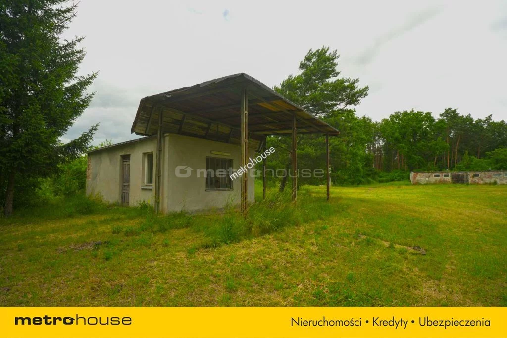 SOTOVI479 - zdjęcie nr 3