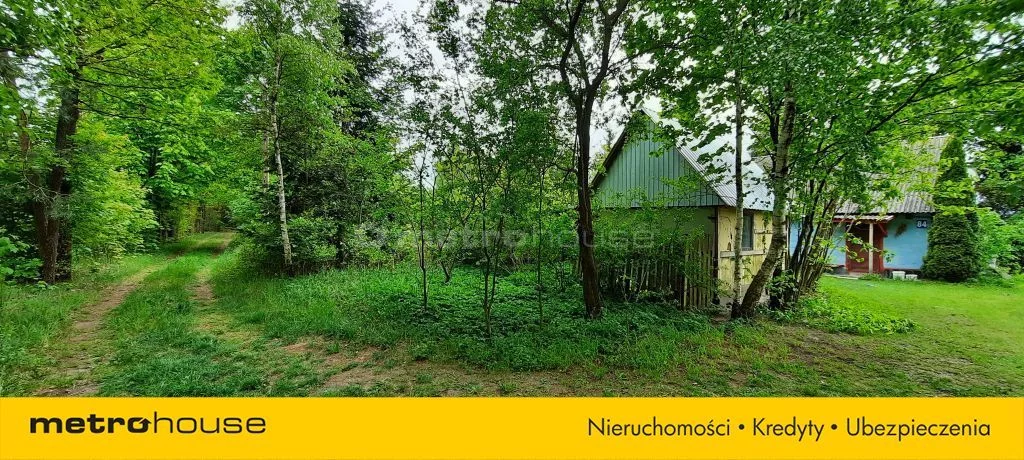 SONUGA660 - zdjęcie nr 2