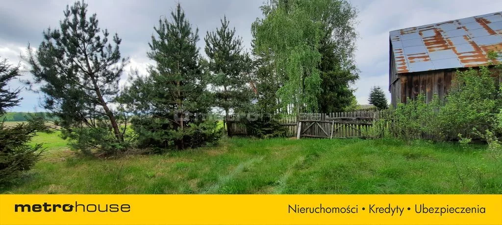 SONUGA660 - zdjęcie nr 3