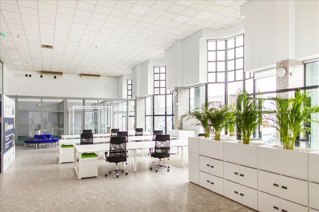 Lokal użytkowy 500,00 m², oferta nr , XAXU804, Inowrocław