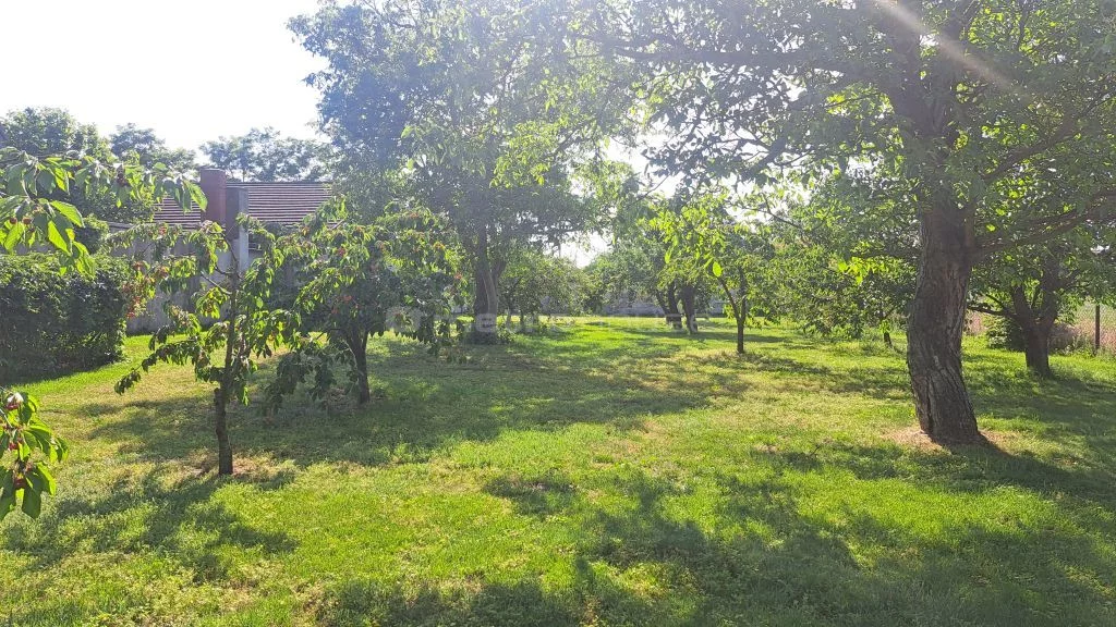 Obiekt 4 000,00 m², oferta nr , SOCUDE912, Jacewo