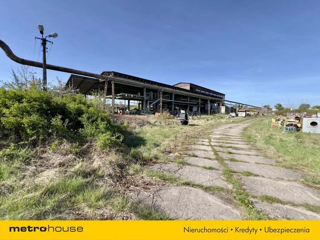 Obiekt 100 229,00 m², oferta nr , SOPURI365, Kaliska