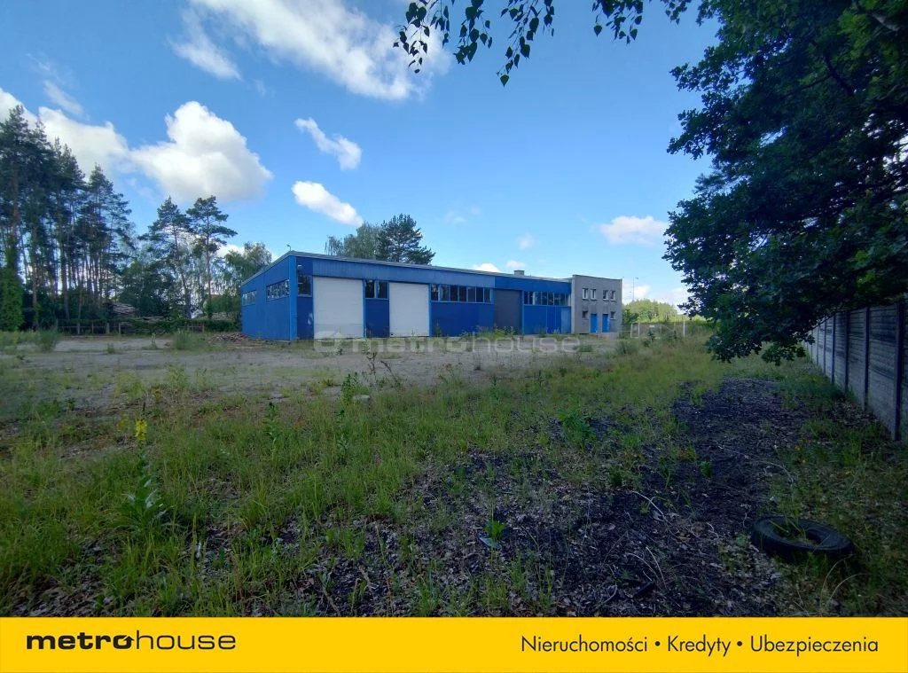 Lokal użytkowy 4 492,00 m², oferta nr , SLCUSA639, Knurowiec