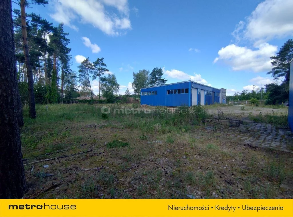 Lokal użytkowy 4 492,00 m², oferta nr , SLCUSA639, Knurowiec