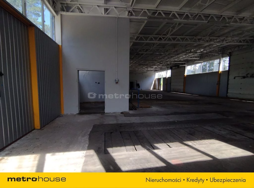 Lokal użytkowy 4 492,00 m², oferta nr , SLCUSA639, Knurowiec