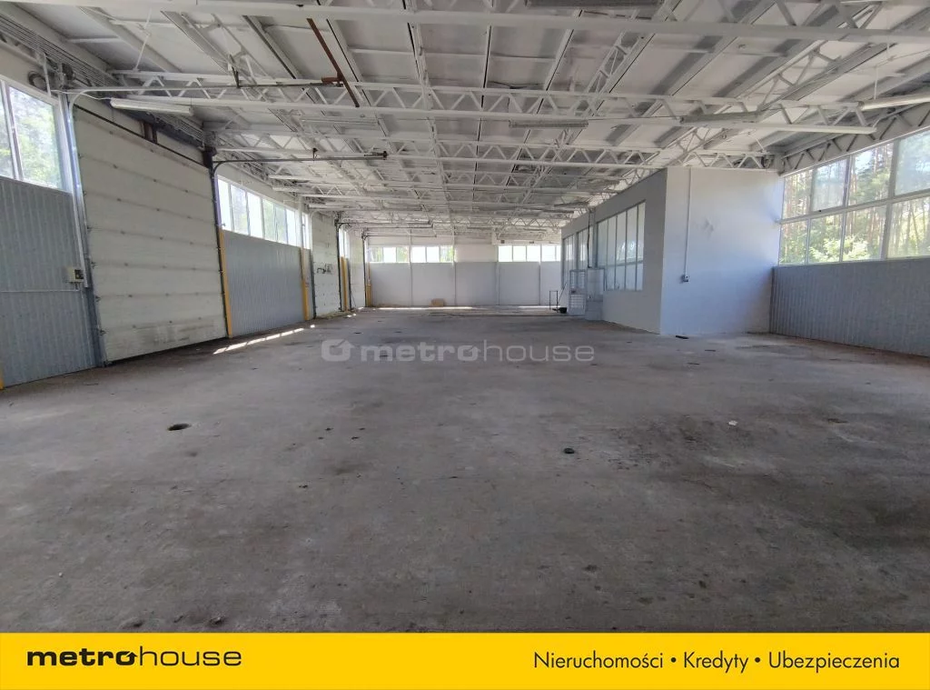 Lokal użytkowy 4 492,00 m², oferta nr , SLCUSA639, Knurowiec
